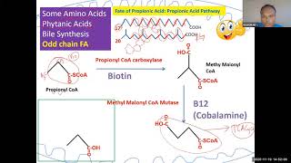 lipid 59 Propionic acid pathway High yield for USMLE step 1 [upl. by Base]