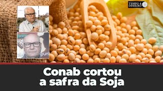 Conab cortou a safra da Soja e mercado recuou [upl. by Orlosky595]