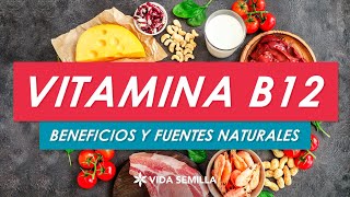 Nutrientes escenciales Vitamina B12 [upl. by Nyar]