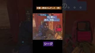 可愛い（笑）女子配信 レインボーシックスシージ シージ r6s 下手くそでも楽しくゲームします [upl. by Vasiliu]