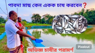 পাবদা মাছ কেন একক চাষ করবেন  netro farming [upl. by Otti]