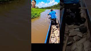 Fishing boat full hunting skills [upl. by Ecertak501]