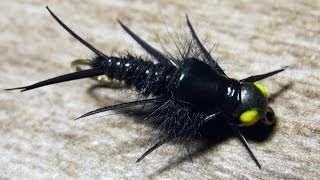 BH Biot Stonefly Black fly tying instructions by Ruben Martin [upl. by Bish590]