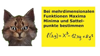 Bei mehrdimensionalen Funktionen Maximum Minimum und Sattelpunkte bestimmen [upl. by Niuqaoj]