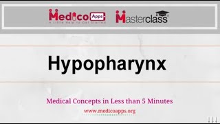 Live class Hypopharynx by Dr Suguna [upl. by Chirlin721]