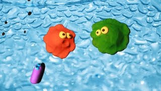 The Two Amoebas 1 The World Around Us Claymation [upl. by Raffaello802]