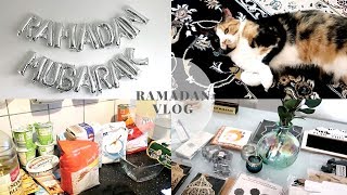 Ramadan Vlog Rezepte Wohnung Dekorieren l SAIDA JAHED [upl. by Kauffman]