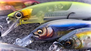 Jerkbait Tricks For Early Fall Bass Fishing Beginner To Advanced [upl. by Malvino437]