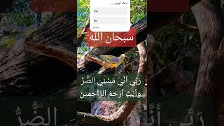 دعاء أيوب [upl. by Ihdin]