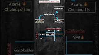 Gallstone terms and what they mean gallstones gallstone gallbladderstones [upl. by Ehtiaf]