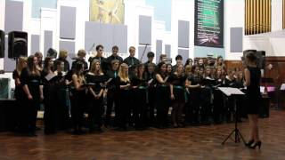 Pachelbels Canon in D arr Noel Goemanne  Southampton University Singers  Winter Concert 2013 [upl. by Illoh]