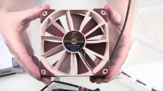 Noctua NFF12 PWM Lüfter Unboxing  Hands On [upl. by O'Gowan977]