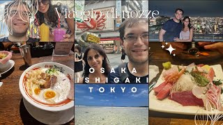 Viaggio di nozze in Giappone  Osaka Ishigaki Okinawa Tokyo Harry Potter Studios e Nikko [upl. by Einaoj]