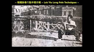 駱耀詠春六點半棍示範 Lok Yiu Long Pole Techniques [upl. by Seline371]