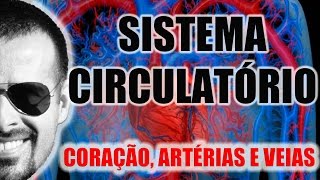 Sistema Circulatório  O coração as artérias e as veias  Anatomia Humana  VideoAula 003 [upl. by Oza321]