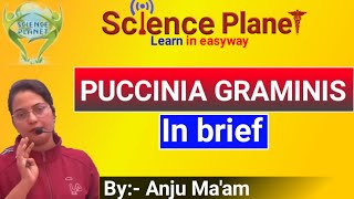 Puccinia graminis tritici Wheat Rust in brief By Anju Maam SCIENCE PLANET BIOLOGY [upl. by Luella]