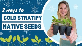 How To Cold Stratify Seeds 2 Methods Of Cold Stratification For Successful Germination ❄️🌱 [upl. by Prescott]