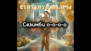 Сүйүүнүн шаары  караоке тексти менен Мирбек Атабеков [upl. by Seto354]