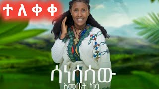 ሳነሳሳው የእመቤት ካሳ Emebet kassa Ethiopia Music video ተለቀቀ [upl. by Parrisch]