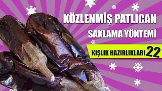 Közlenmiş Patlıcan Tarifi ve Saklama Yöntemi  Kışlık Hazırlıkları 22 Anne İşleri Ev [upl. by Meehsar635]