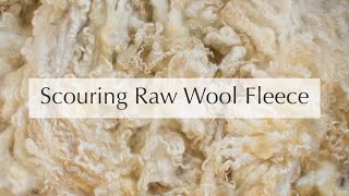 How to Scour Raw Wool Fleece [upl. by Sedruol217]