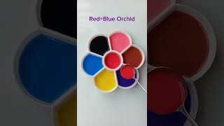 Red color making with 6 color mixing 🥰colormixing colormixingmagic art [upl. by Dosia]