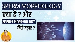 Sperm Morphology क्या होता है Normal Range Improvement Treatment  स्पर्म Morphology कैसे बढ़ाए [upl. by Munson]