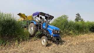 Sonalika Tractor And Surjeet Thresher 4 Fan 775 RPM in a Short Time Tha Rice Cutting  tractor [upl. by Winonah]