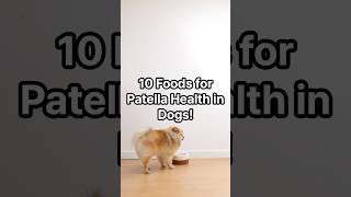 10 Foods for Patella Health in Dogs [upl. by Leandre]