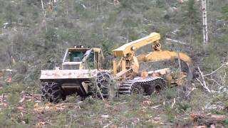 Skidder Tigercat 635D with ECO Soft 26 [upl. by Hackney557]