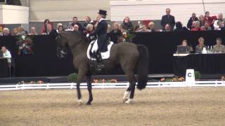 Gabriele RundKöllner amp Rossinol Dressur S KKCup Münster 2014 [upl. by Parette416]