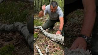 Survival Skills Fire Starting with Wet Birch Bark and Magnesium survival camping lifehacks [upl. by Ttehc]