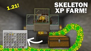 Skeleton Spawner XP Farm Minecraft 121  1 to 20 Levels in 30 minutes [upl. by Carmon]