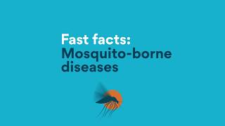 Fast Facts Mosquitoborne diseases [upl. by Jenine]