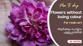 How to dry flowers without losing colour for resin art  Best method for drying flowers  Malayalam [upl. by Saihttam424]