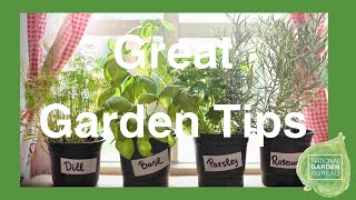 Year Round Indoor Gardening Tips for Vegetables and more [upl. by Kcirdaed]