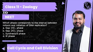 Which phase corresponds to the interval between mitosis and initiation of DNA replication a Gap [upl. by Narahs]