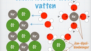 Salters löslighet i vatten gammal [upl. by Gravante]