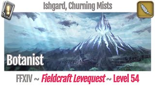 FFXIV Botanist Leves Level 54  Ishgard Churning Mists  Heavensward [upl. by Htiderem]