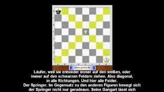 Schach für Anfänger Grundzüge des Schachs Untertitel Eugen Grinis Schach [upl. by Arait]