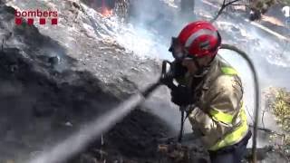 Incendi Forestal a Vallirana Baix Llobregat 14072016 [upl. by Terle]