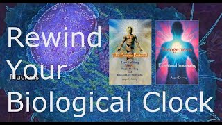 Rewind Your Biological Clock agereversal agingbackwards reverseaging [upl. by Monroy989]