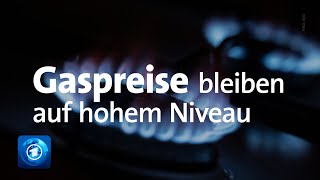 Steigende Energiepreise Hohe Belastung für Verbraucherinnen [upl. by Atilam]