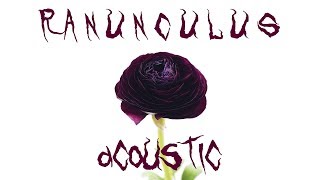 DIR EN GREY  Ranunculus Acoustic cover feat yureibana幽霊花 [upl. by Jammie494]