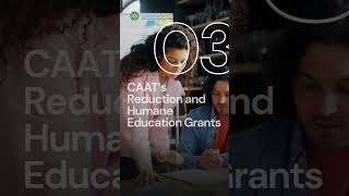 Top Grants for Educational Initiatives  September 2024 [upl. by Johannessen103]