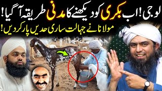 Amin Ul Qadri Funny Video  Bakri Ko Dekhne Ka Madani Tarika A Gaya 😁  Engineer Muhammad Ali Mirza [upl. by Alial]