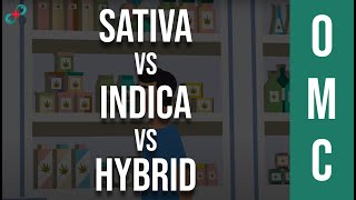 Sativa Vs Indica Vs Hybrid Youve Been Picking Strains All Wrong 🤷‍♂️ [upl. by Bertha306]