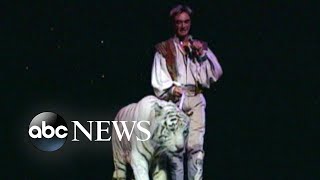 New allegations about onstage attack in Siegfried and Roy show [upl. by Rubel311]