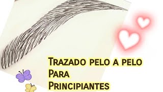 Trazado pelo a pelo para principiantes  Curso Microblading [upl. by Eecyak]