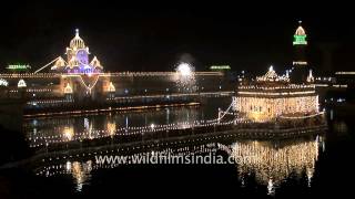 Golden Temple illuminated during night in Amritsar Punjab [upl. by Kassie]